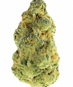 Honey Banana Sundae, muzlu tatlı aroması ve dengeli etkisiyle öne çıkan bir hibrit türdür. Yüksek verimli ve reçine dolu yapısıyla dikkat çeker. Özelliklerini keşfedin.