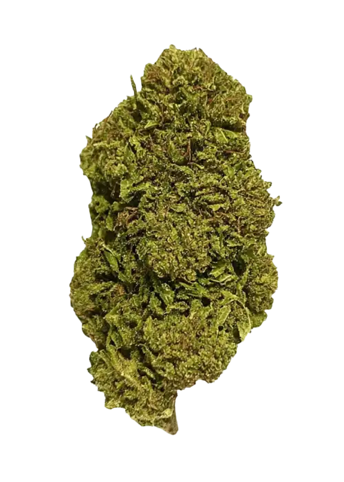 Honey Banana Zuava, tropikal aroması ve 'lük THC oranıyla öne çıkan Indica baskın bir türdür. Yoğun öfori ve rahatlama etkilerini keşfedin.