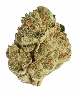 Honey Bananas, tatlı bal ve muz aromalarıyla öne çıkan dengeli bir hibrit türdür. Yüksek verimiyle bilinen bu türü keşfedin ve genetik yapısını inceleyin.