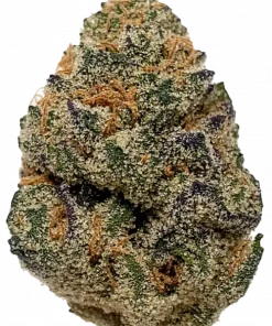 Honey Bun, kremsi ve fındıklı aromasıyla öne çıkan dengeli bir hibrit türdür. Rahatlatıcı etkileriyle bilinen bu türü keşfedin ve genetik yapısını görüntüleyin.