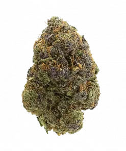 Honey D, bal ve orman meyveleri aromalarıyla öne çıkan Indica dominant bir türdür. Yüksek THC içeriğiyle stres ve ağrı için ideal. Özelliklerini keşfedin.