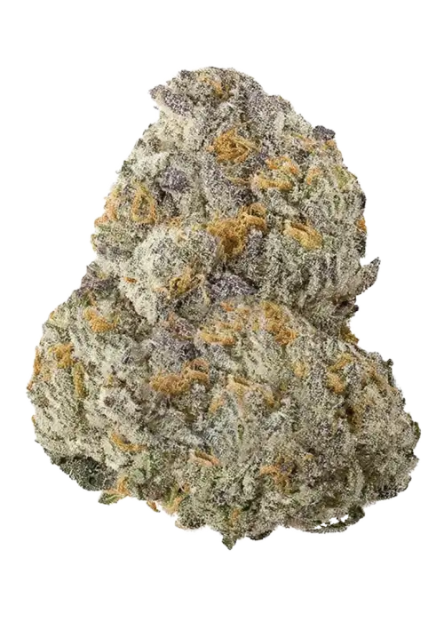 Honey Fresca, tatlı muz ve kavun aromalarıyla öne çıkan dengeli bir hibrit türdür. Yaratıcılığı teşvik eden bu özel türü hemen keşfedin.