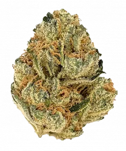 Honey Fried Bananas, vanilya aroması ve yüksek THC içeriğiyle öne çıkan Indica dominant bir türdür. Yoğun rahatlatıcı etkilerini keşfedin ve genetik yapısını görüntüleyin.