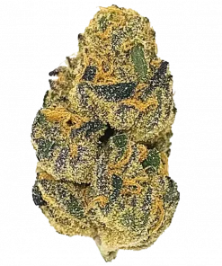 Honeydew, tatlı kavun aroması ve enerji verici etkisiyle öne çıkan Sativa baskın bir türdür. Mazar I Sharif ve Cinderella 99 genetiğini keşfedin.