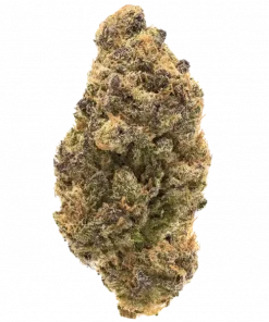 Hanımeli, bal aroması ve yüksek THC içeriğiyle bilinen dengeli bir hibrit türdür. Öforik etkileri ve tatlı aromasını keşfedin.