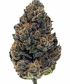 Hood Candy, üzüm aromalı ve yüksek THC'li Indica baskın bir türdür. Ağrı ve stres için idealdir. Benzersiz genetik yapısını keşfedin.