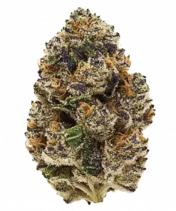 Hood Legend OG, tatlı meyve aromaları ve güçlü rahatlatıcı etkisiyle bilinen Indica dominant bir türdür. Spazmlara ve ağrıya iyi gelir. Özelliklerini keşfedin.