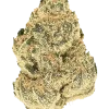 Hubba Bubba Kush, tatlı kayısı ve sakız aromalarıyla öne çıkan indica baskın bir türdür. Rahatlatıcı etkileriyle sosyal anksiyeteye iyi gelir. Özelliklerini keşfedin.