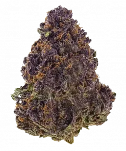 Huckleberry, böğürtlen ve turunçgil aromalarıyla öne çıkan dengeli bir türdür. Ruh halini yükseltici ve rahatlatıcı etkileriyle bilinir. Özelliklerini keşfedin.