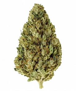 Humboldt Dream, toprak ve vanilya aromalarıyla öne çıkan Indica dominant bir türdür. Yüksek THC içeriğiyle rahatlatıcı etkilerini keşfedin ve genetik yapısını görüntüleyin.