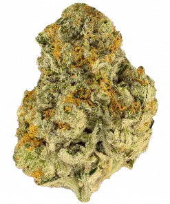 Humboldt Pound Cake, vanilya aroması ve rahatlatıcı etkisiyle öne çıkan bir hibrit türdür. Yüksek THC içeriğiyle keyifli bir deneyim sunar. Hemen keşfedin.