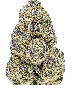 I-95, yakıtımsı ve baharatlı aromalarıyla öne çıkan dengeli bir hibrit türdür. Ağrı ve depresyon için ideal. Genetik yapısını keşfedin ve etkilerini görüntüleyin.