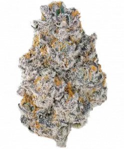 I-95 x Permanent Marker, yakıtımsı aroması ve rahatlatıcı etkileriyle bilinen indica baskın bir türdür. Benzersiz genetik yapısını keşfedin ve potansiyel faydalarını görüntüleyin.