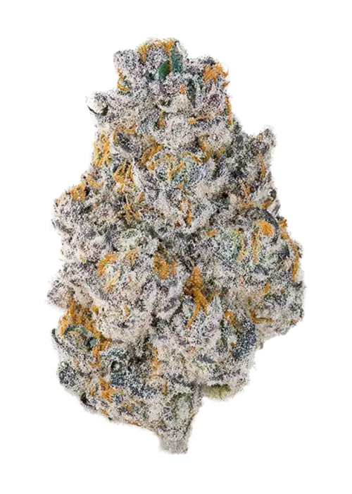 I-95 x Permanent Marker, yakıtımsı aroması ve rahatlatıcı etkileriyle bilinen indica baskın bir türdür. Benzersiz genetik yapısını keşfedin ve potansiyel faydalarını görüntüleyin.