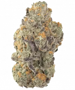 I Do Glue, vanilya ve portakal aromalarıyla öne çıkan dengeli bir hibrit türdür. Enerjik etkileri ve potansiyel faydalarını keşfedin.