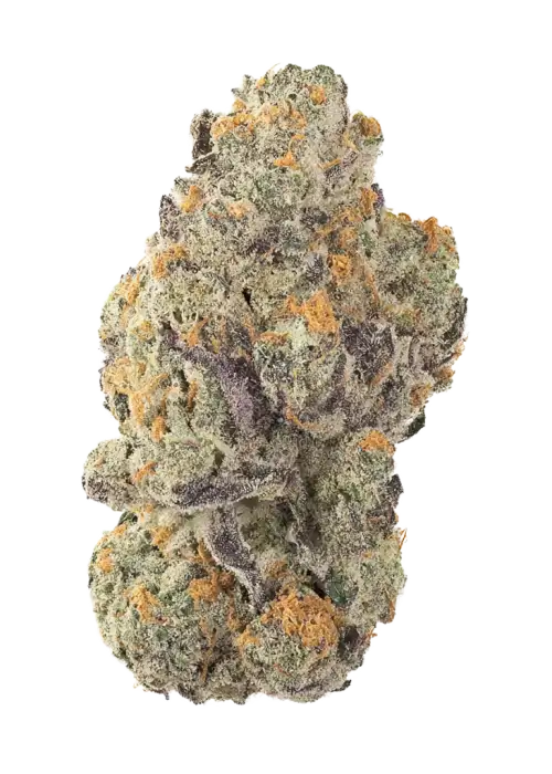 I Do Glue, vanilya ve portakal aromalarıyla öne çıkan dengeli bir hibrit türdür. Enerjik etkileri ve potansiyel faydalarını keşfedin.