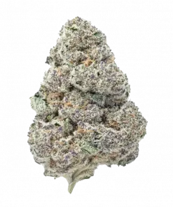 Ice türü, yakıtımsı aroması ve dengeli etkisiyle öne çıkan bir hibrit çeşittir. Yüksek THC içeriğiyle rahatlama ve keyif sunar. Özelliklerini keşfedin.