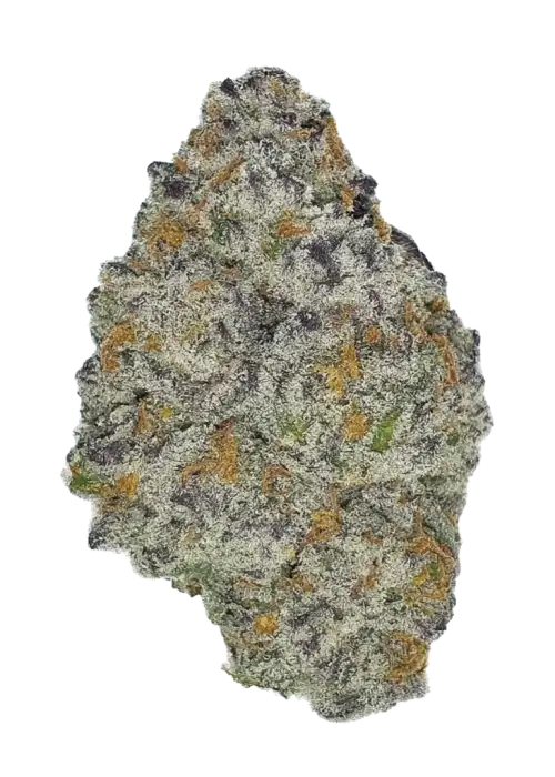 Ice Cream Gelato, tatlı vanilya aroması ve + THC içeriğiyle öne çıkan Indica dominant bir türdür. Sosyal etkileri ve potansiyel faydalarını keşfedin.