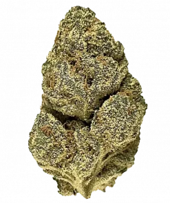 Ice Cream Man, kayısı ve vanilya aromalı, yüksek THC'li bir indica türüdür. Yaratıcılığı tetikleyen ve rahatlatan bu eşsiz türü keşfedin.