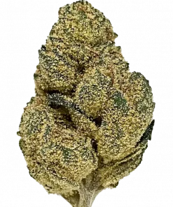 Ice Cream Sundae, vanilya ve bal aromalarıyla öne çıkan indica baskın bir türdür. 'e varan THC içeriğiyle rahatlatıcı etkilerini keşfedin. Hemen görüntüleyin.