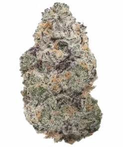 Ichiban, şekerli aroması ve yüksek THC içeriğiyle öne çıkan indica baskın bir türdür. Archive Seedbank'ın bu özel türünü keşfedin ve eşsiz deneyimini görüntüleyin.