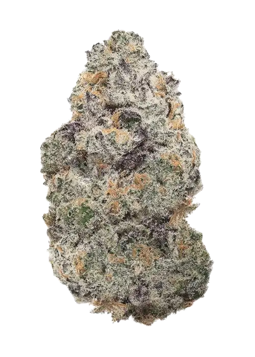 Ichiban, şekerli aroması ve yüksek THC içeriğiyle öne çıkan indica baskın bir türdür. Archive Seedbank'ın bu özel türünü keşfedin ve eşsiz deneyimini görüntüleyin.