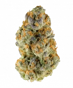 IDOL, tatlı narenciye aromaları ve rahatlatıcı etkileriyle bilinen Indica baskın bir türdür. Orta seviyedeki THC içeriğiyle ideal bir seçenektir. Özelliklerini keşfedin.