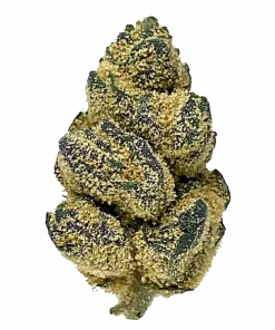 Illemonati, limon aromalı ve yüksek THC'li indica baskın bir türdür. Enerji verici ve yaratıcılığı tetikleyici etkileri keşfedin. Hemen görüntüleyin.