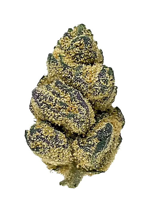 Illemonati, limon aromalı ve yüksek THC'li indica baskın bir türdür. Enerji verici ve yaratıcılığı tetikleyici etkileri keşfedin. Hemen görüntüleyin.