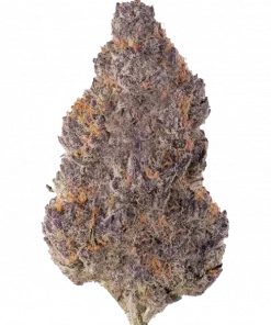 IMPERIUM X®, ananas aroması ve yüksek THC içeriğiyle bilinen Sativa baskın bir türdür. Yoğun etkilerini ve genetik yapısını keşfetmek için hemen görüntüleyin.