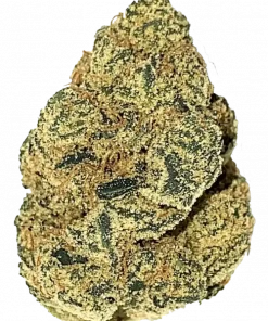 Intergalactic, yakıtımsı aroması ve yüksek THC içeriğiyle öne çıkan Indica dominant bir türdür. Enerji verici etkilerini ve genetik yapısını keşfedin.