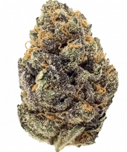 Italian Ice, kimyasal limon aroması notaları ve yüksek THC içeriğiyle öne çıkan Indica baskın bir türdür. Benzersiz lezzetini ve etkilerini hemen keşfedin.