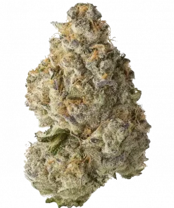 J1 (Jack One), kimyasal limon aroması notaları ve yüksek THC içeriğiyle bilinen Sativa baskın türdür. Canlandırıcı etkileriyle öne çıkar. Özelliklerini keşfedin.