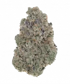 Jabón, sert yakıtımsı ve lavanta aromalarıyla öne çıkan dengeli bir hibrit türdür. Yüksek THC içeriğiyle rahatlatıcı etkilerini keşfedin ve genetik yapısını görüntüleyin.