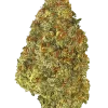 Jack Herer, narenciye ve baharat aromalarıyla öne çıkan Sativa baskın bir türdür. Yüksek THC içeriğiyle enerji ve odaklanma sağlar. Özelliklerini keşfedin.