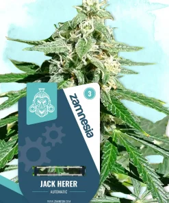 Jack Herer Auto Fem Esrar Tohumu (Zamnesia Seeds)