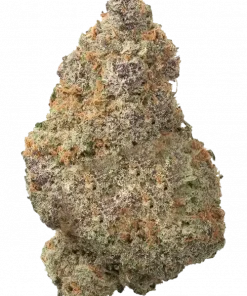 Jamaika, narenciye ve baharat aromalarıyla öne çıkan, enerji verici bir Sativa türüdür. Depresyon ve yorgunluğa iyi gelir. Genetik yapısını keşfedin.