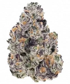 Jamz, üzüm aroması ve yüksek THC içeriğiyle öne çıkan dengeli bir hibrit türdür. Mutluluk ve rahatlama sunan bu özel türü keşfedin.