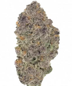 Jane Dough, tatlı hamur aroması ve rahatlatıcı etkisiyle öne çıkan indica baskın bir türdür. Yüksek THC içeriğiyle dikkat çeken bu türü keşfedin.