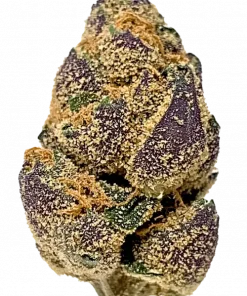 Jawbreaker, üzüm aromaları ve 'e varan THC içeriğiyle öne çıkan indica baskın bir türdür. Canlandırıcı etkileriyle bilinen bu özel türü keşfedin.