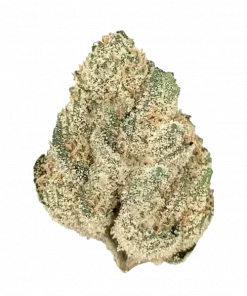 Jealous Banana, muz ve yakıtımsı aromalarıyla öne çıkan Indica baskın bir türdür. Yüksek THC içeriğiyle güçlü etkilere sahiptir. Genetik yapısını keşfedin.