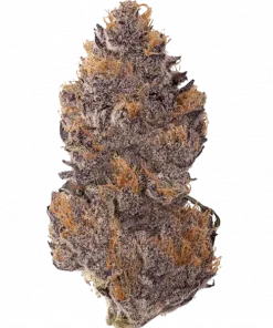 Jealousy OG, tatlı aroması ve dengeleyici etkileriyle öne çıkan bir türdür. Sherbet ve Gelato 41 genetiğini keşfedin. Özelliklerini görüntüleyin.