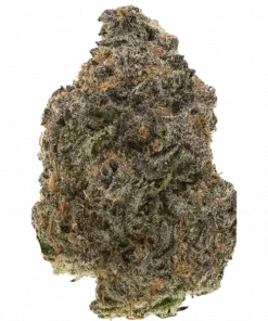 Jeff Gordon, sert yakıtımsı aroması ve rahatlatıcı etkileriyle bilinen dengeli bir hibrit türdür. Depresyon ve uykusuzluğa iyi gelir. Genetik yapısını keşfedin.