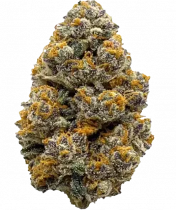 Jellie Cake, tatlı meyve aromaları ve rahatlatıcı etkisiyle bilinen, indica baskın bir türdür. THC içeriğiyle ideal. Etkilerini keşfedin.