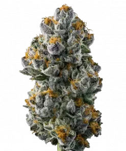 Jellie Straws, tatlı ve meyveli aromaları ile öne çıkan Indica dominant bir türdür. THC içeriğiyle yoğun rahatlama sağlar. Etkilerini keşfedin.