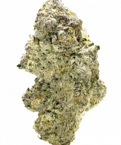 Jelly Bananen, tatlı muz aroması ve rahatlatıcı etkileriyle bilinen indica baskın bir türdür. Yüksek reçine içeriğiyle öne çıkar. Bu özel türü keşfedin.