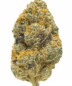 Jelly Breath, tatlı meyve aromaları ve yüksek THC içeriğiyle bilinen indica dominant bir türdür. Derin rahatlama için genetik yapısını keşfedin ve görüntüleyin.