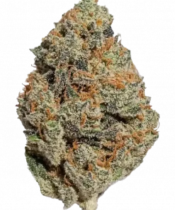 Jelly Donut, tatlı aroması ve rahatlatıcı etkisiyle öne çıkan Indica baskın bir türdür. Eşsiz genetik yapısını ve keyifli deneyimini keşfedin.