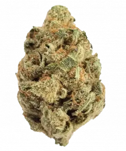 Jelly Rancher, turunçgil aromalı ve yüksek THC oranına sahip bir Sativa türüdür. Canlandırıcı etkileriyle öne çıkar. Genetik yapısını keşfedin.