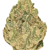 Jelly Roll, üzüm aromalı ve yüksek THC'li Indica dominant türdür. Enerji verici ve rahatlatıcı etkileriyle öne çıkar. Bu eşsiz türü keşfedin.